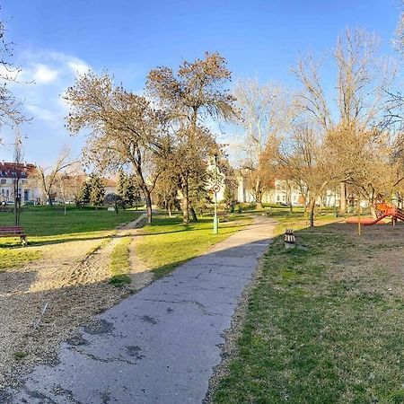 Lechner Mansion Apartment Seghedin Exterior foto